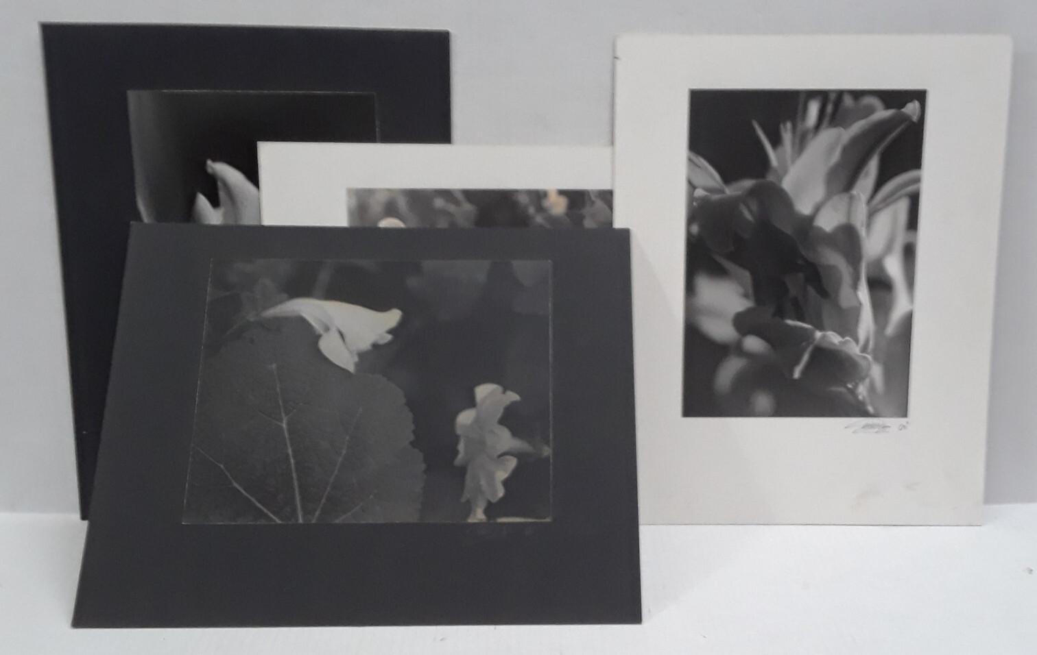 Original Signed Photos on Board Lot of 4 11 x 14 Black White Board Various