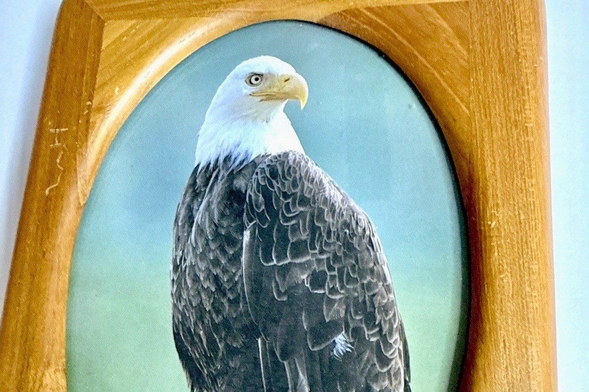 Wood Picture Frame 8×6 -Oval Opening- Bald Eagle Photo Rustic Decor