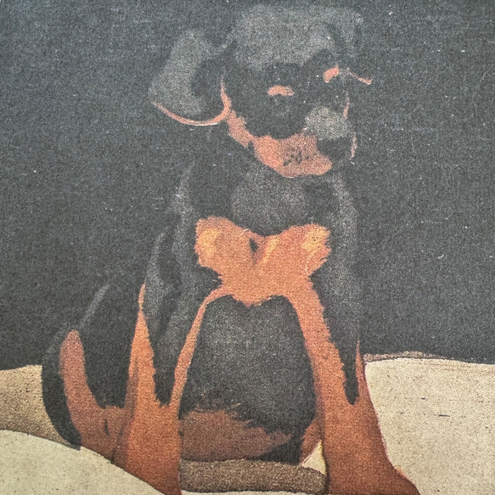 Rottweiler Puppy Dog Art Photo Poster Print Rottie Wall Art Home Decor 19×13″