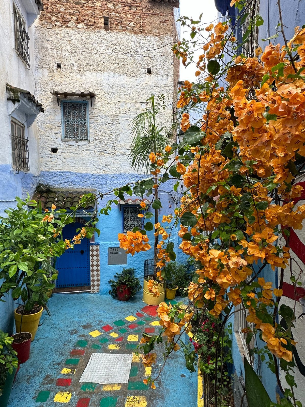 Beautiful Framed, Matted, Signed Photo of Chefchaouen Morocco-BougainvillaFlower