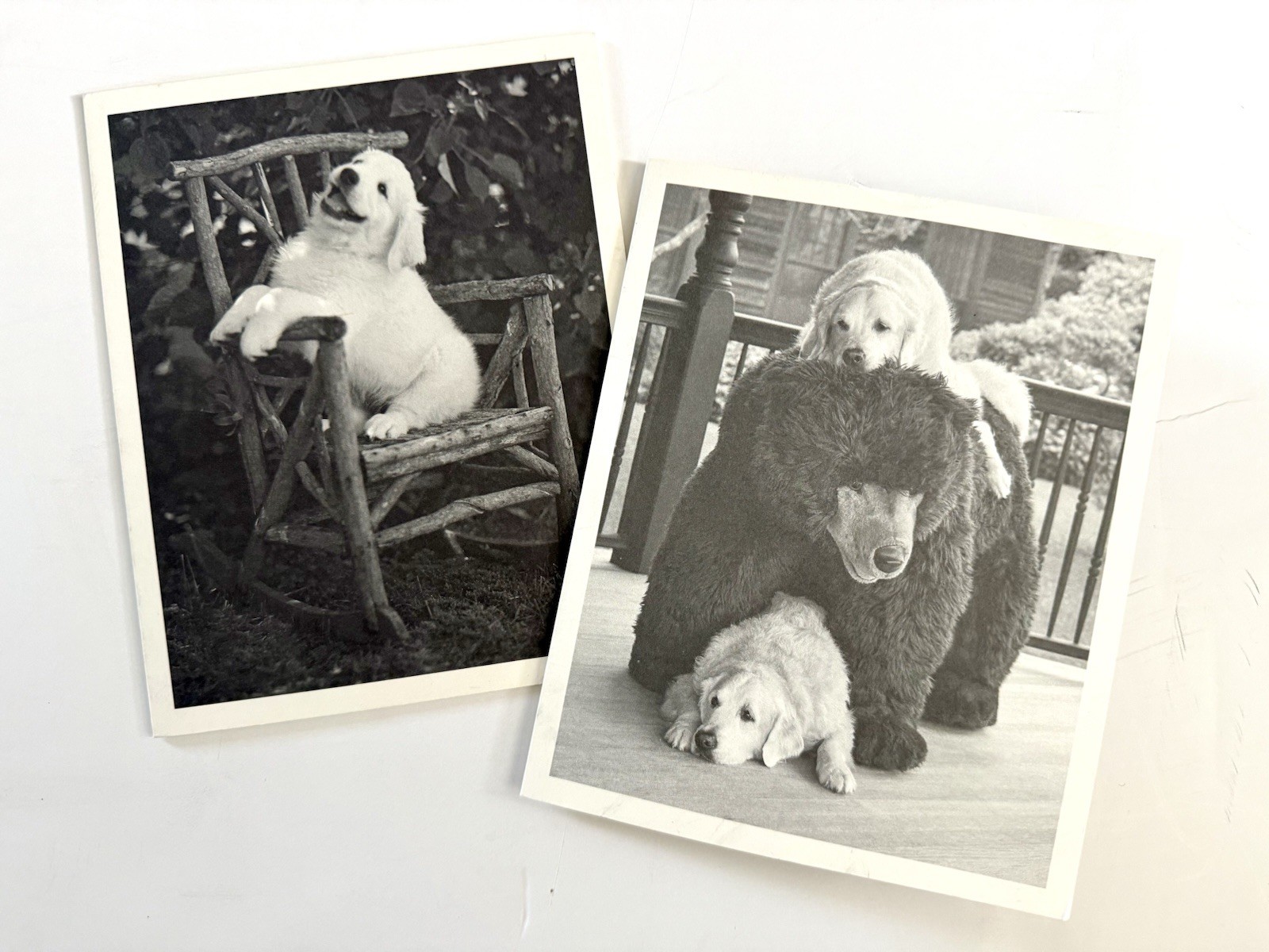 Pair of Bruce Weber Original SIGNED Cards with Provenance 2017 & 2010 Rare
