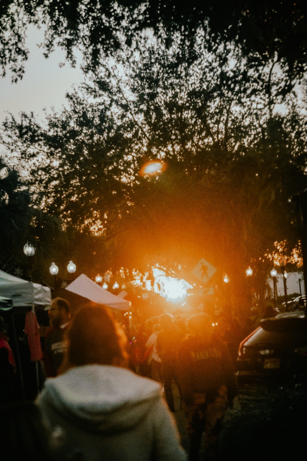 Original Photo Print: Golden Hour Sunset Over Park Pathway & Trees – Framed 4×6