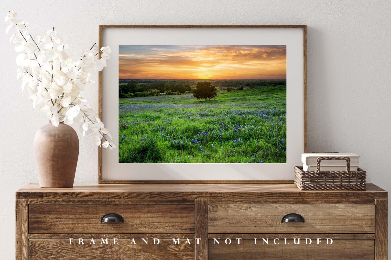 Landscape Photography Print – Picture of Tree and Bluebonnets at Sunset in Texas