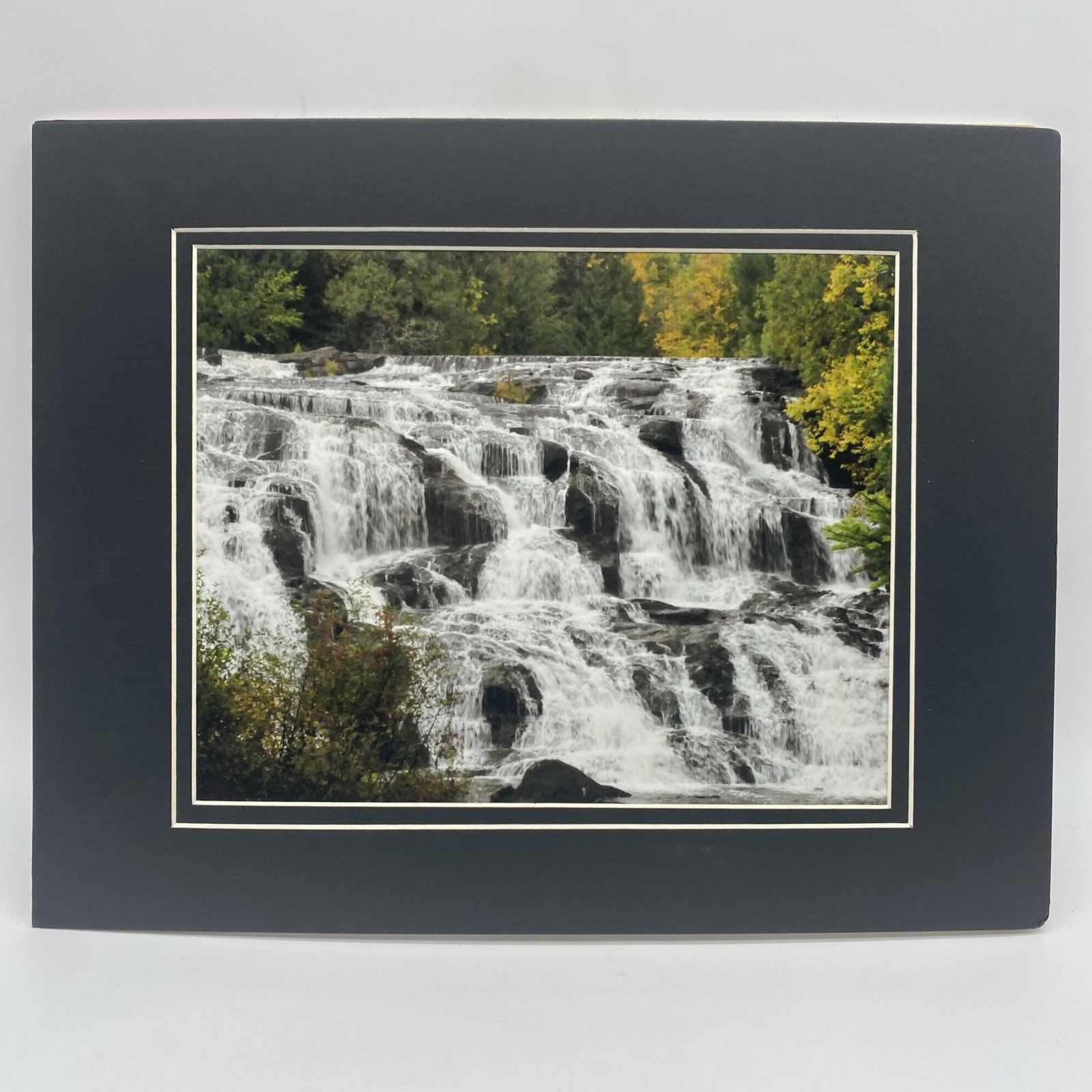 Matted River Forest Landscape Photo Print 11 X 14 Wall Art Gallery Decor