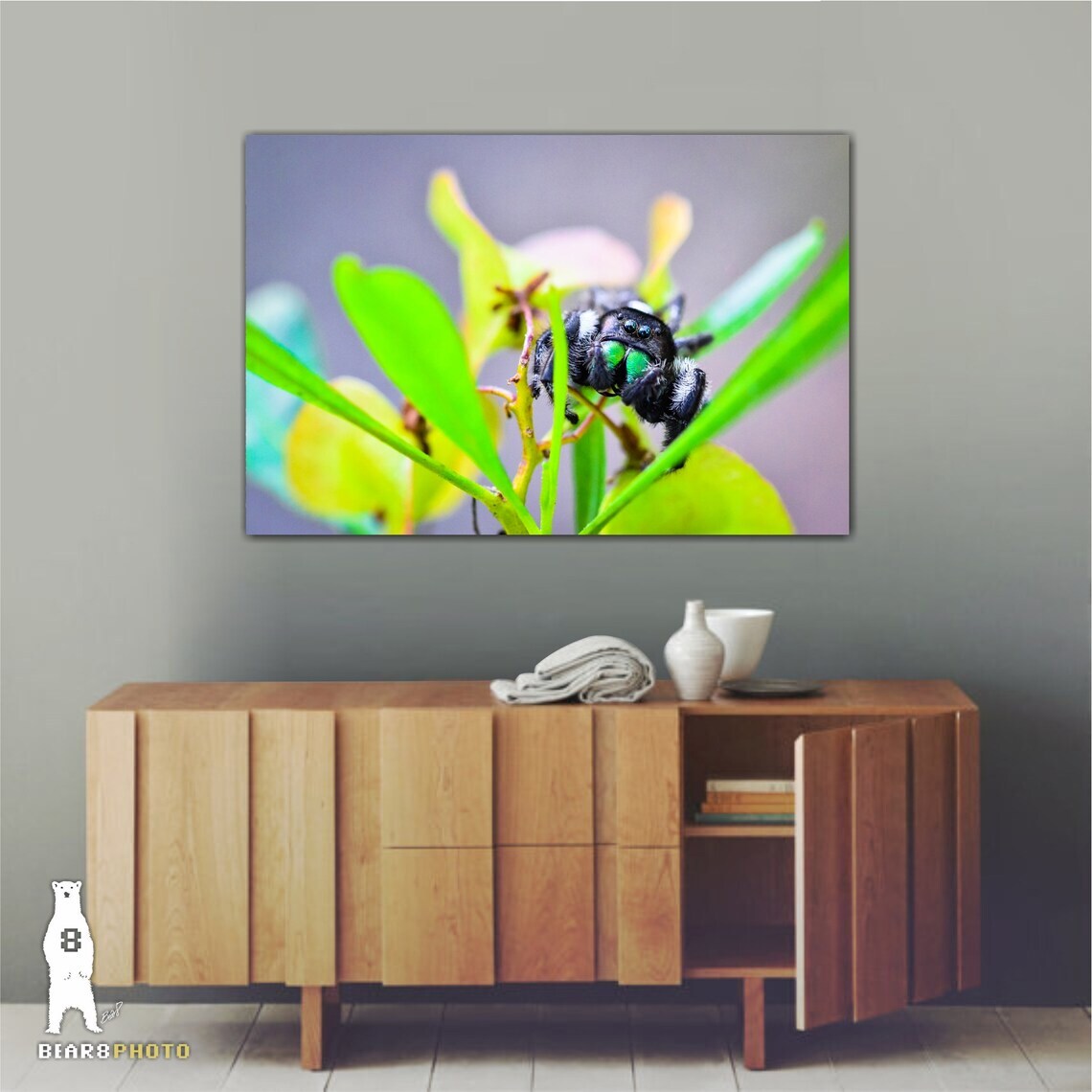 Daring Jumping Spider – Fine Art Macro Photography Prints – by Bear8Photo