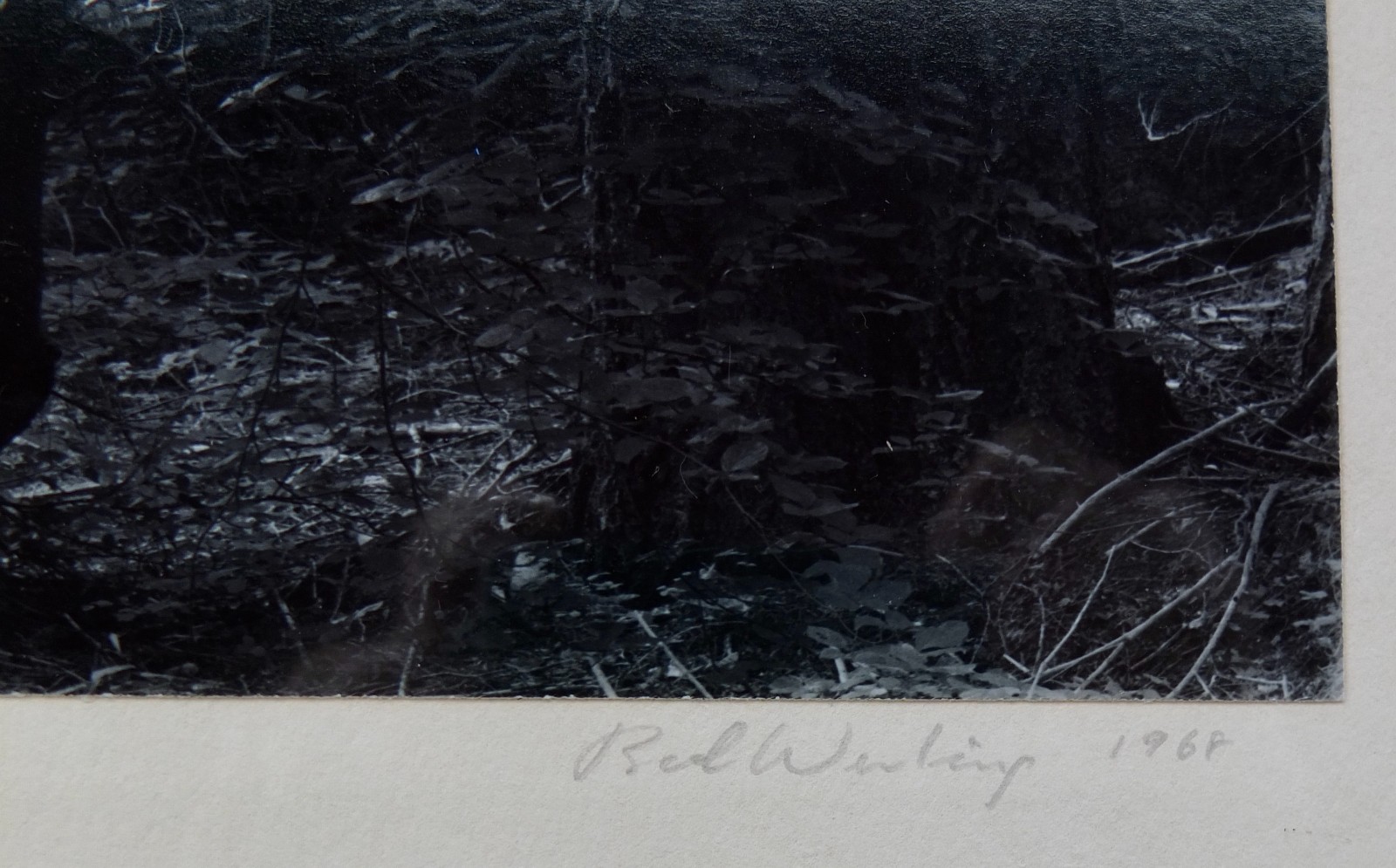 Robert (Bob) Werling 1968 Photograph Early Morning Light Pencil Signed In Frame