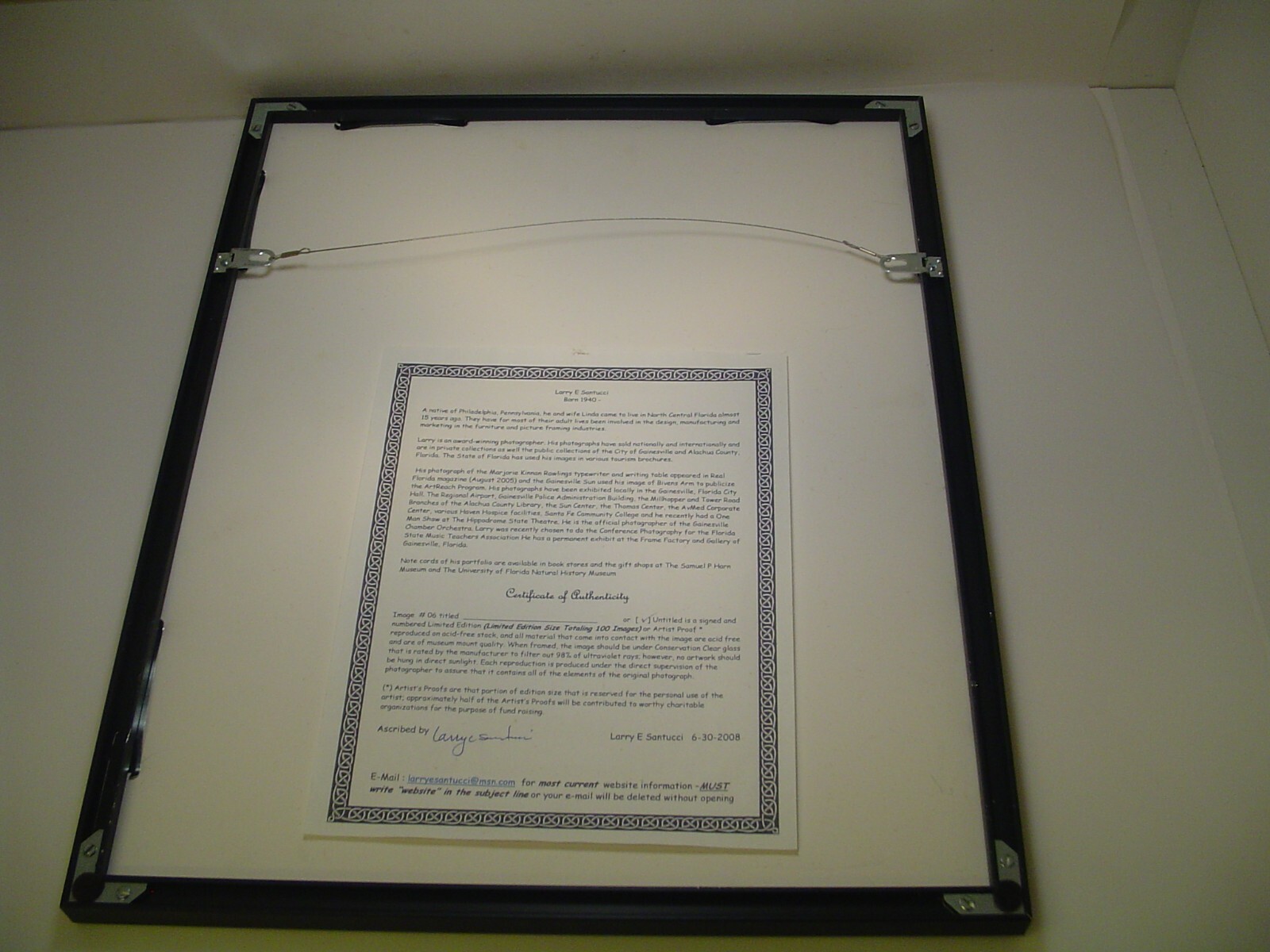 ART PHOTOGRAPHY grass with trees art black & white by L. Santucci Frame 16x20in