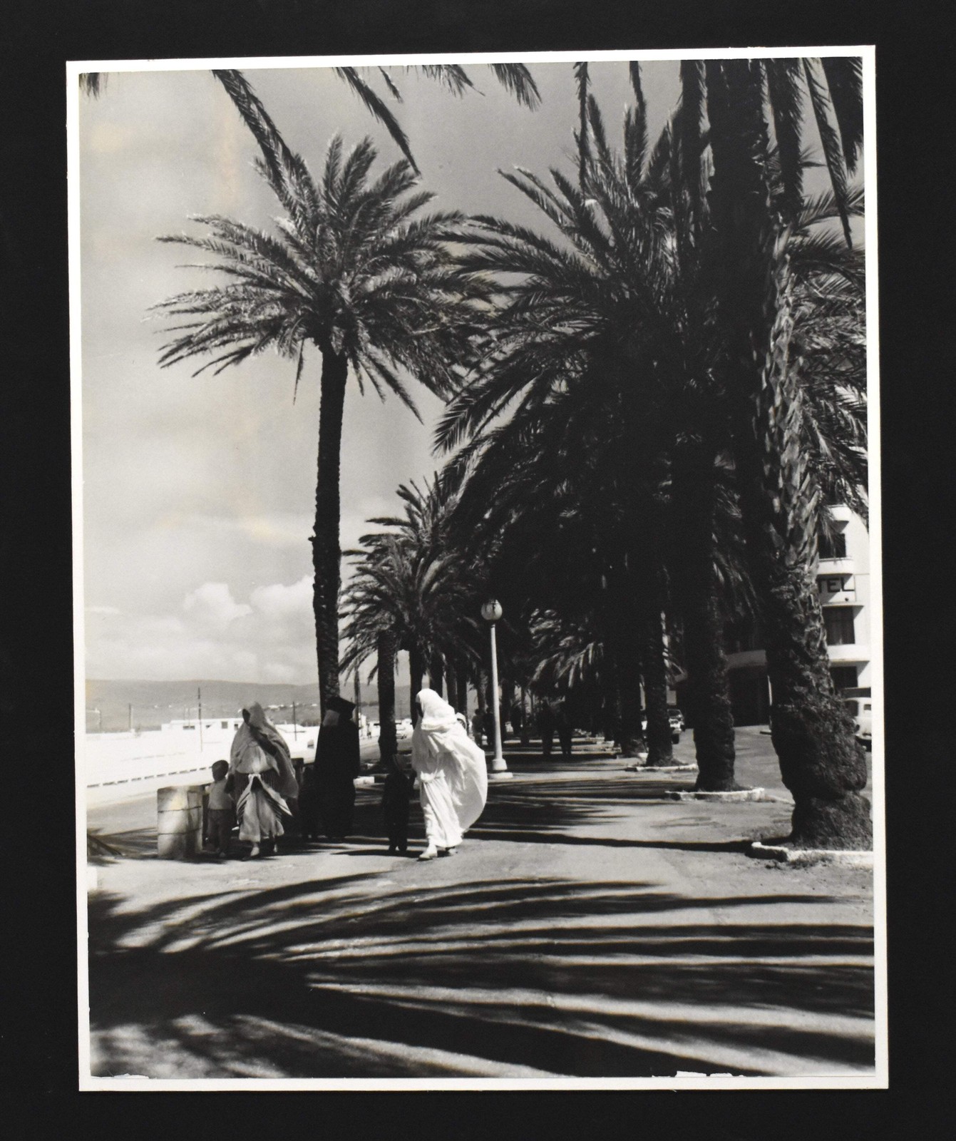 Vintage James W. Howlett Black and White Photograph, ‘Morrocan Palms’