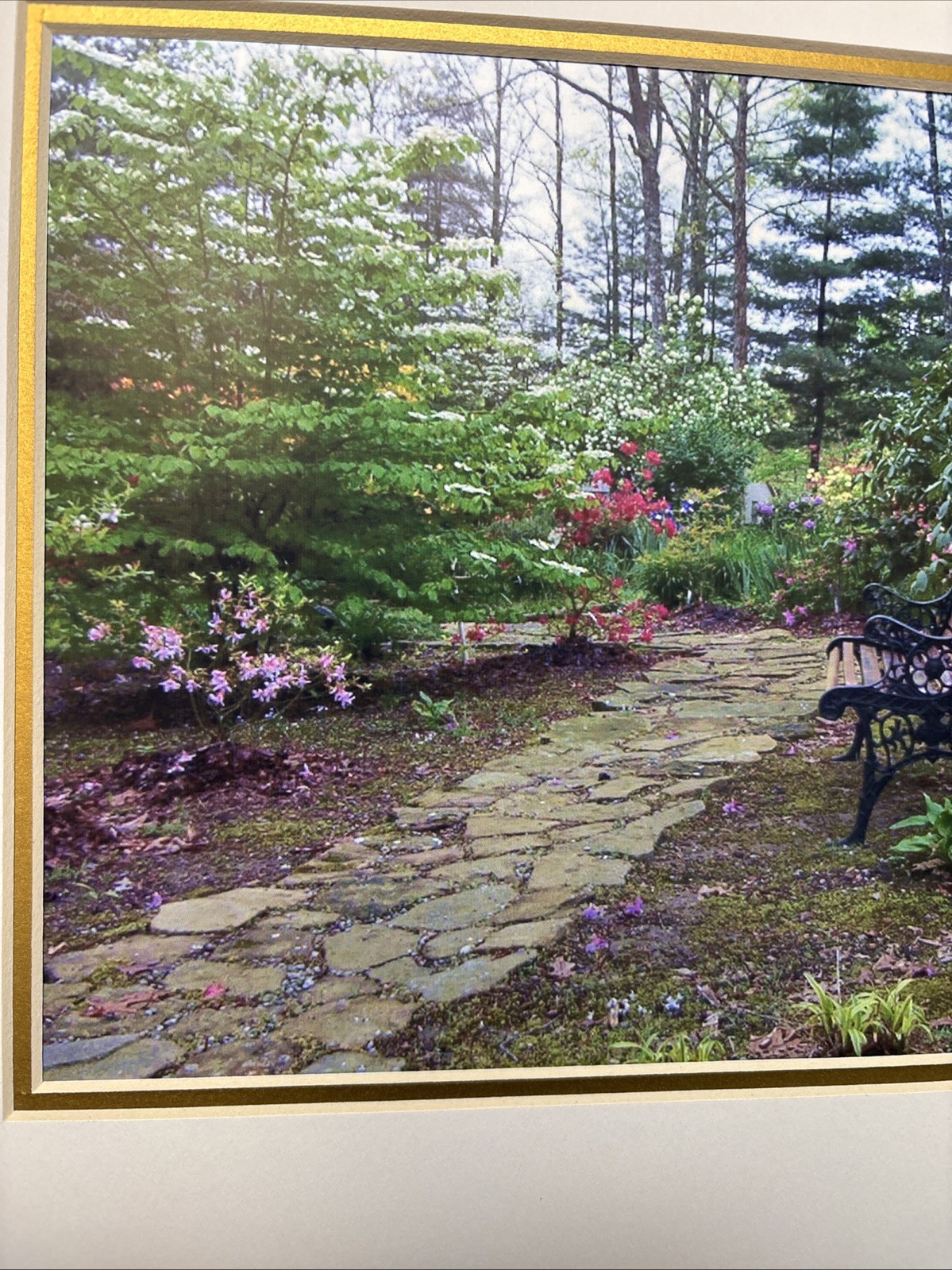 2003 Signed Vicki Hagan Photograph Garden Path Purple Flowers Bench No Frame
