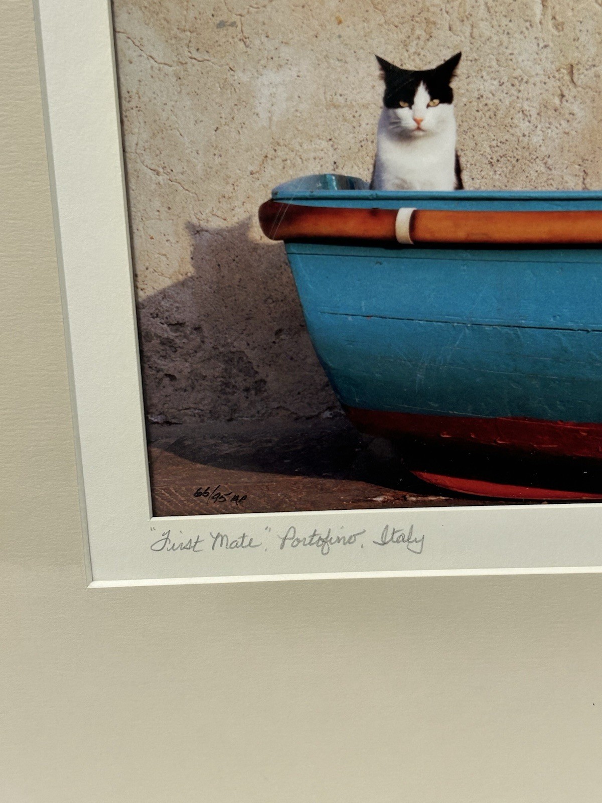 John And Debora Scanlan AP Italy Cat Photograph Print With COA Signed Numbered