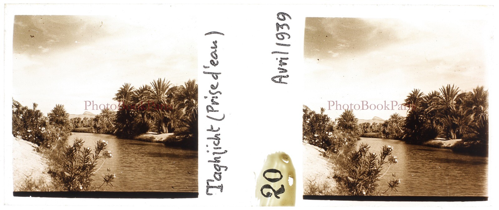 MAROC Taghjijt 1939 Photo Glass Plate Stereo Vintage P30L5n14