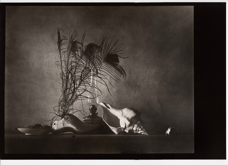 1959/80 Original JOSEF SUDEK Silver Gelatin Photo Seashell Still Life Caravaggia