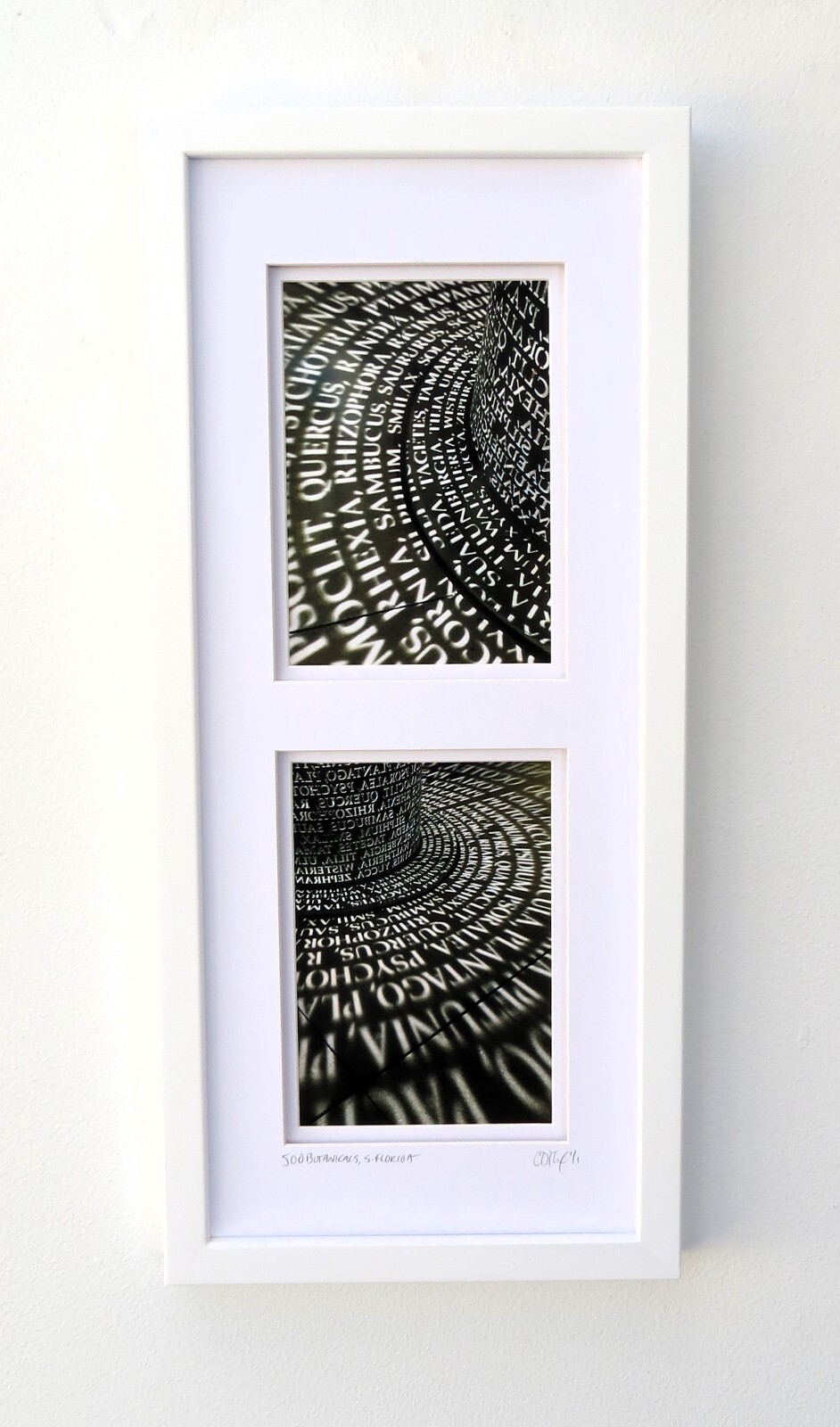 Framed Original Photography, Architectural, Travel, Sculpture by C. Damien Fox