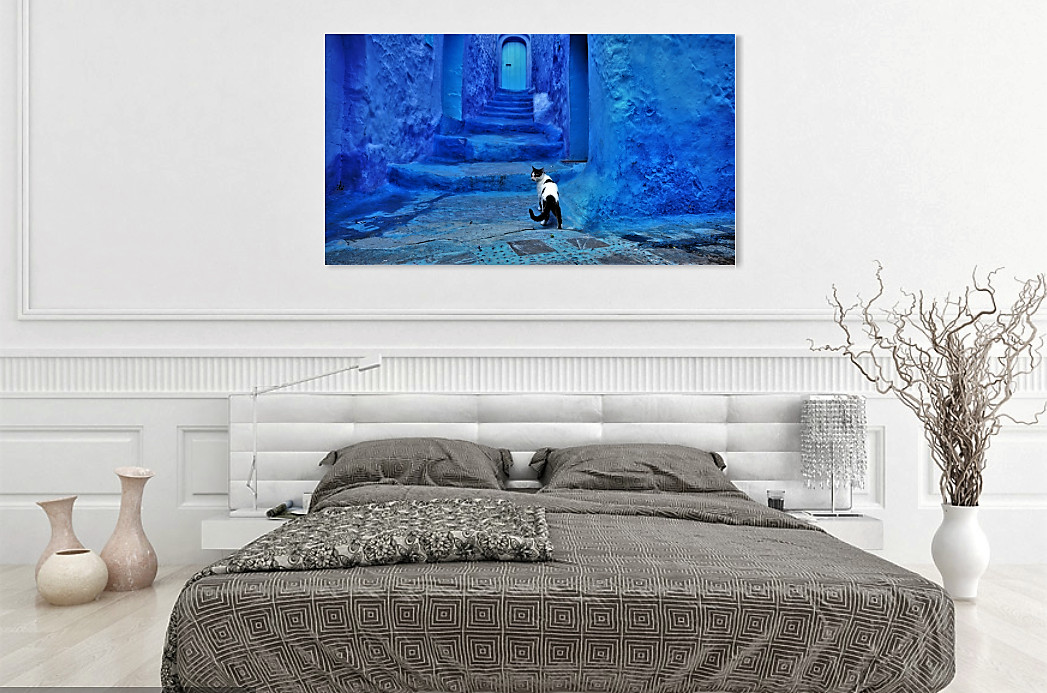 Cat in Blue City on Canvas – Morocco, Africa Travel Pets Dogs Wall Art 16X24