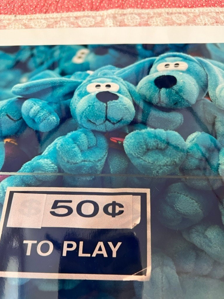 Blue Puppies Photo Print Original Art Photo Artist Signed 2001 11″ X 14″