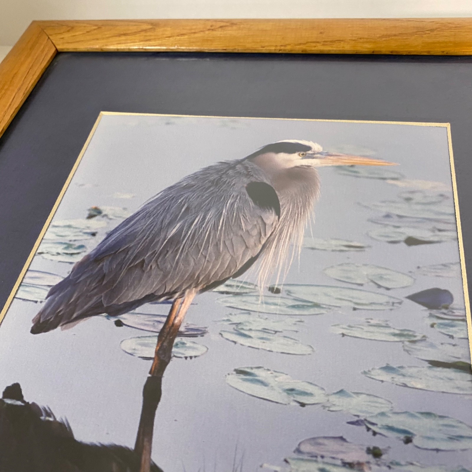 James Stamates 92 • Framed Art Photo • Reflection of Nature • Great Blue Heron