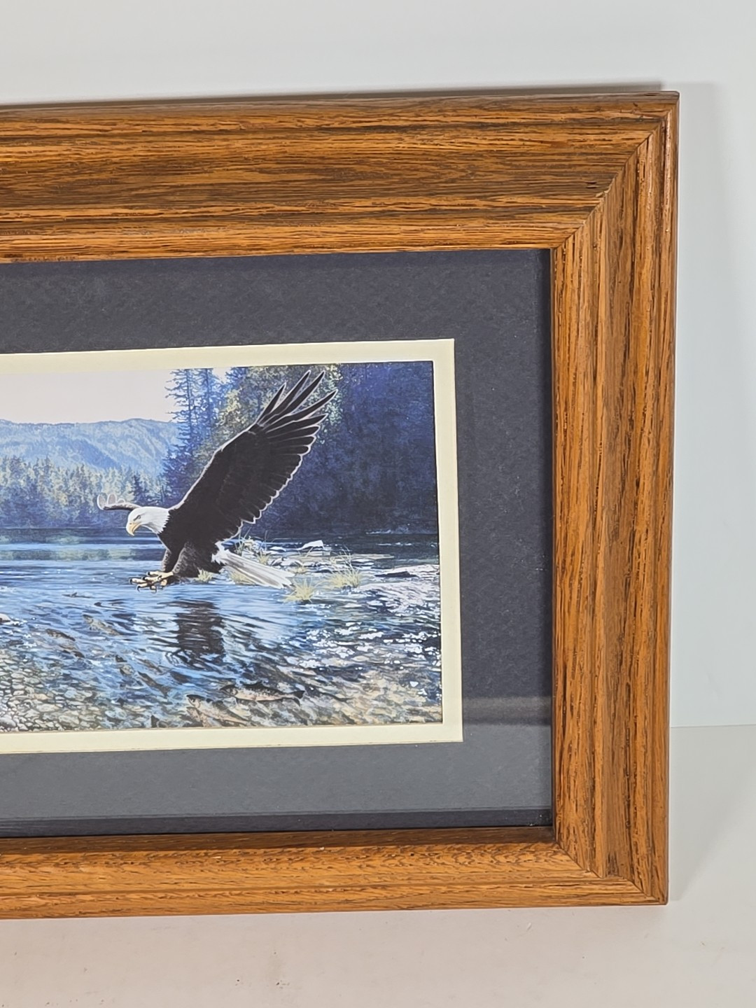 Framed American Bald Eagle Print Picture Of Eagle Coming In For A Fish Dinner