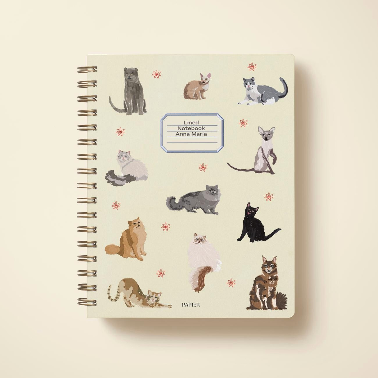 Paper Note Card Art