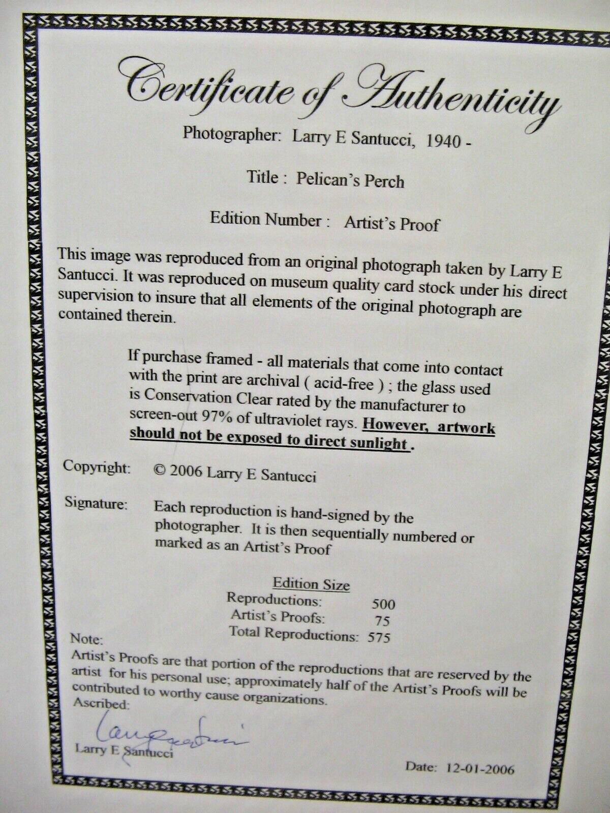ART PHOTOGRAPHY 16×20 Pelican Perch B&W A/P Matte Acid Free by Larry Santucci