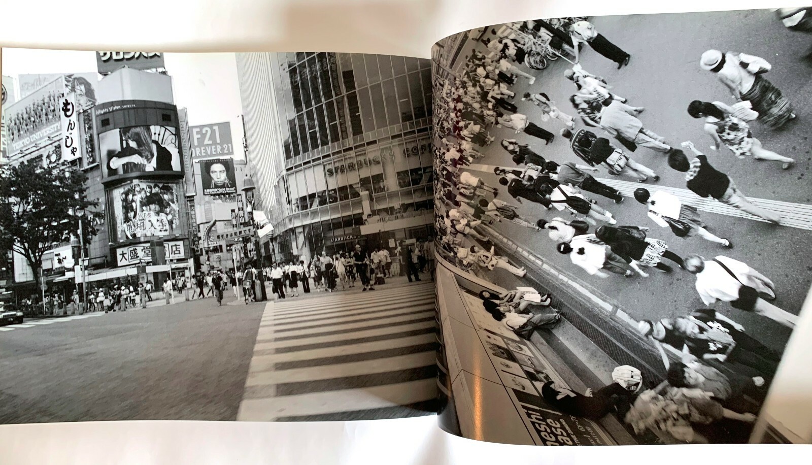 NOBUYOSHI ARAKI Shamanatsu 2011 JAPAN PHOTO BOOK LIMITED EDITION 700 copies E02