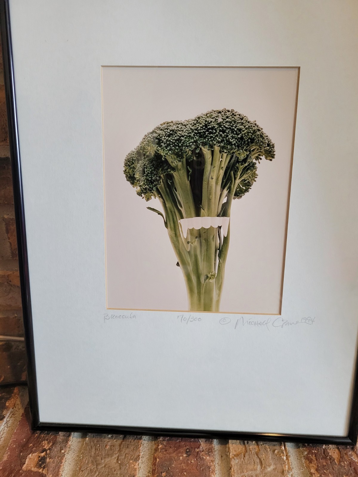 Michael Craven Fine Photography “Broccula” 1994 Signed Framed 70/300 Print 1998