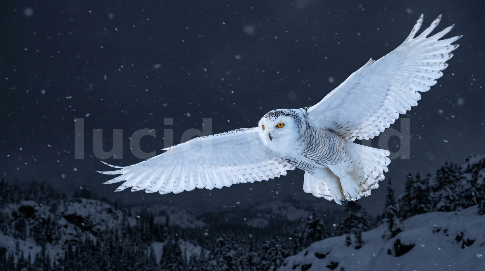 Snowy Owl Winter Night Flight Digital Download Printable Wall Art Bird Decor PNG
