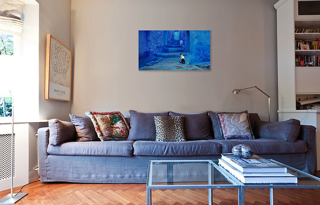 Cat in Blue City on Canvas – Morocco, Africa Travel Pets Dogs Wall Art 16X24