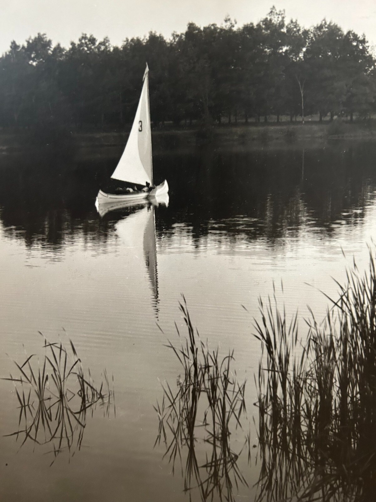Arthur Gray Standard Oil Photographer Cleveland Ohio Americana Sailboat on Lake!
