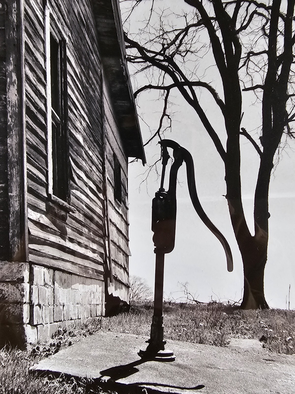 Original Signed John Bower 35mm Fine Art B&W Photograph 20×16 Framed Midwest Art