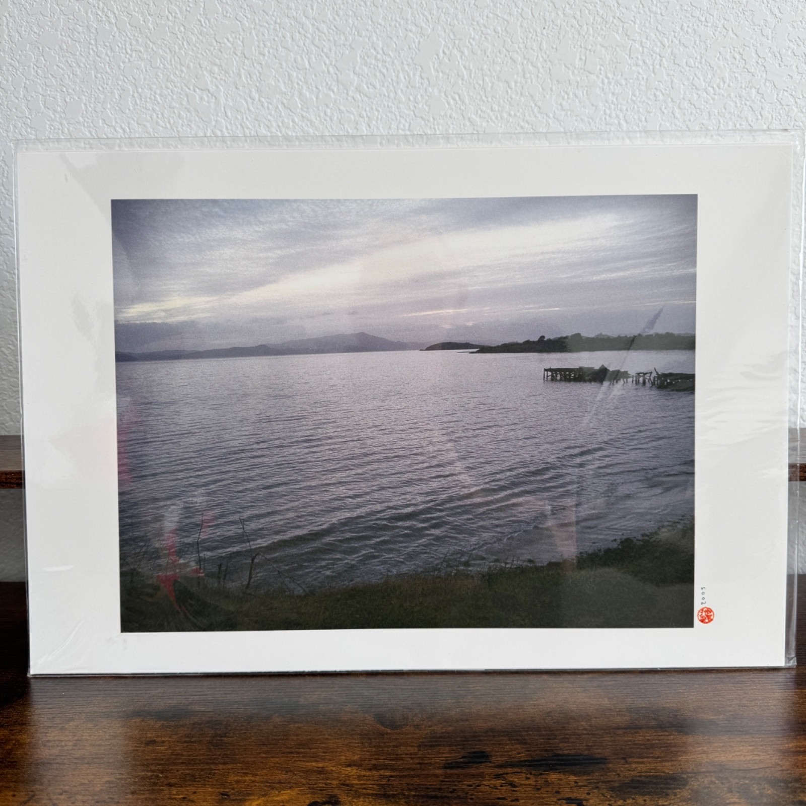 VTG Photography Art Print Lake View 2003 Sealed Packaging 19×13″