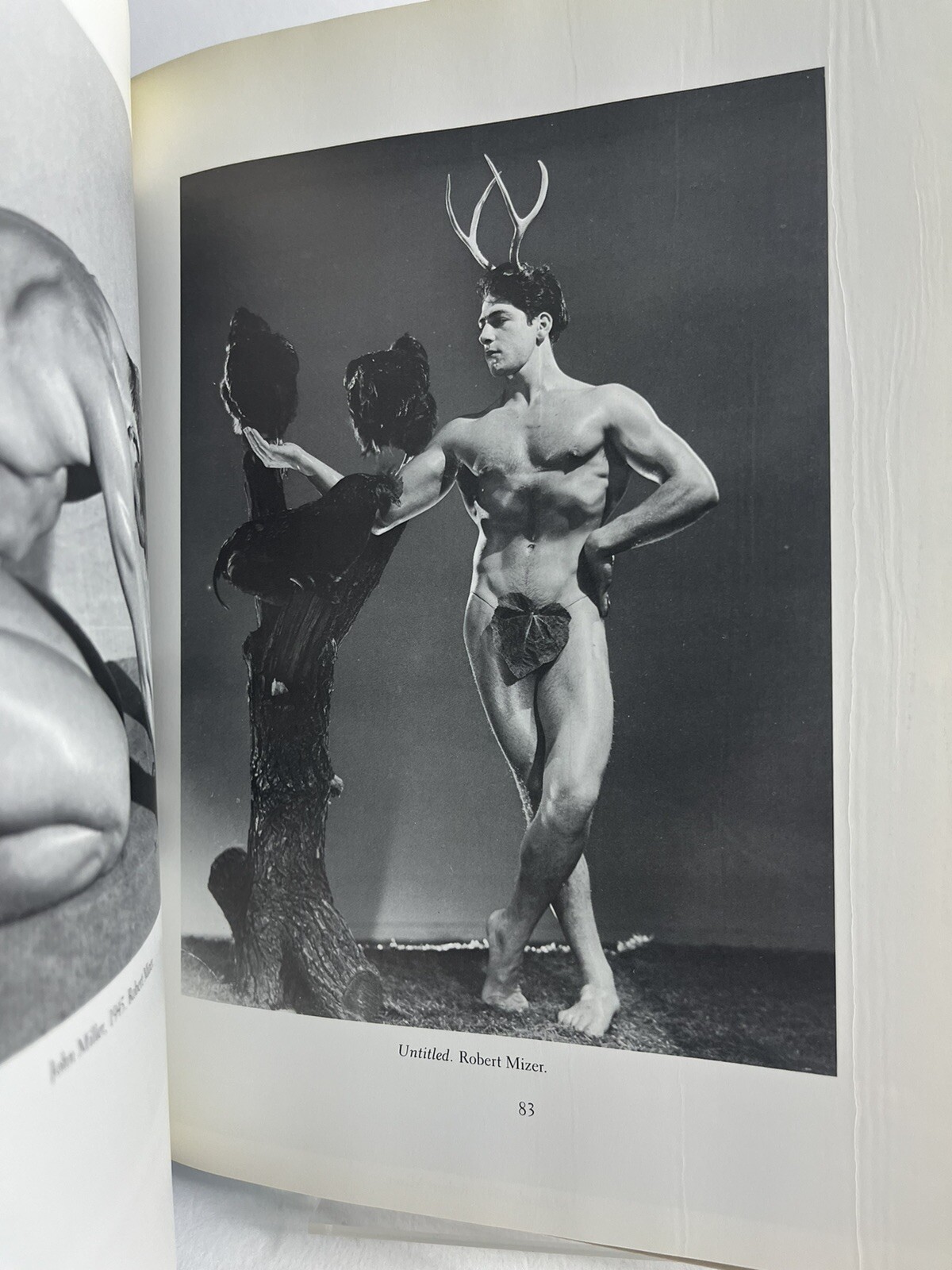 Photo Flexion Photography By William Doan and Craig Dietz 1st Edition!!