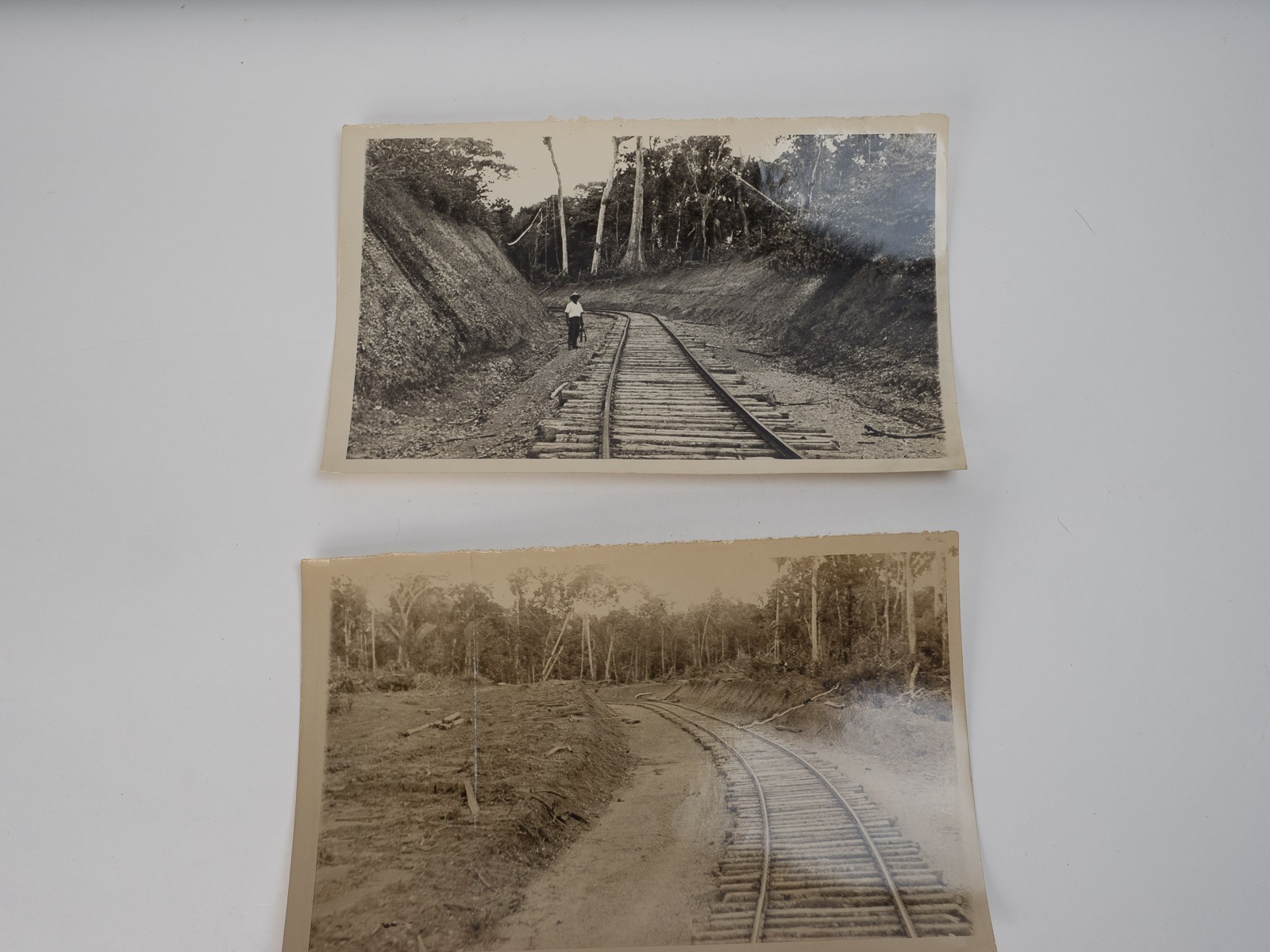 Collection of Photos Depicting Wood Working Operations in Colombia Circa 1950s