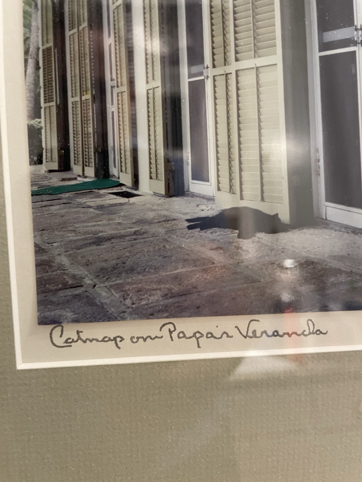 ANONYMOUS MCM STYLE FINE ART PHOTOGRAPH OLD SOUTH CAT ON PAPA’S PORCH FRAMED ’02