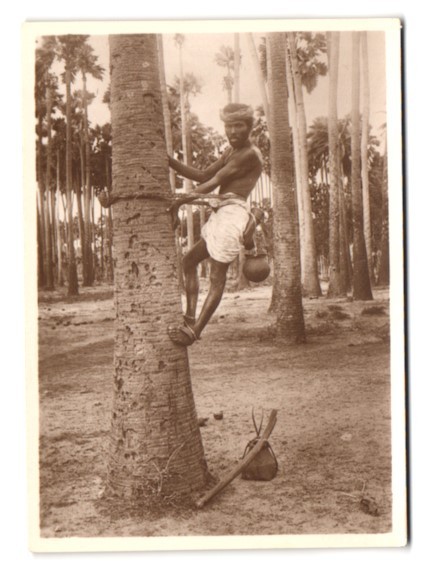 12 photographs view Colombo / Sri Lanka – Ceylon, cityscapes, locals