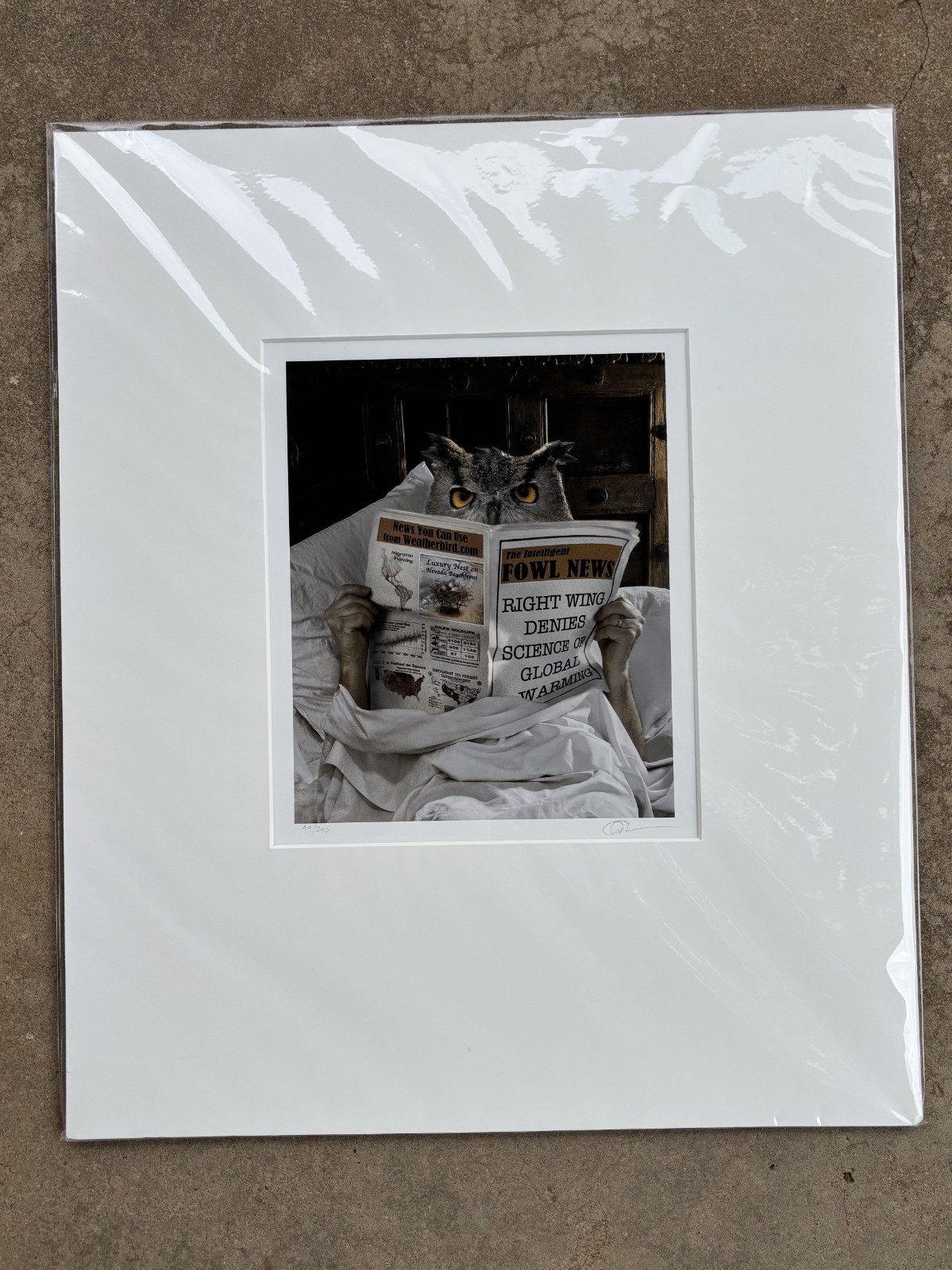 John Charbonneau Tinted Surreal Photograph Signed #44/250 Excellent Condition