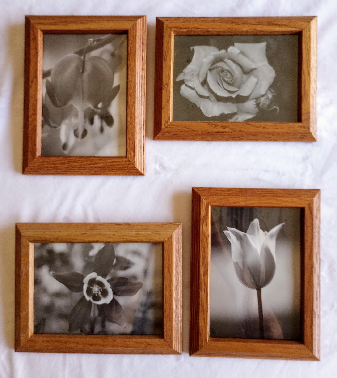 Lot4 Framed Black & White Flower Photos Tulip Rose Bleeding Heart Columbine 6×8″