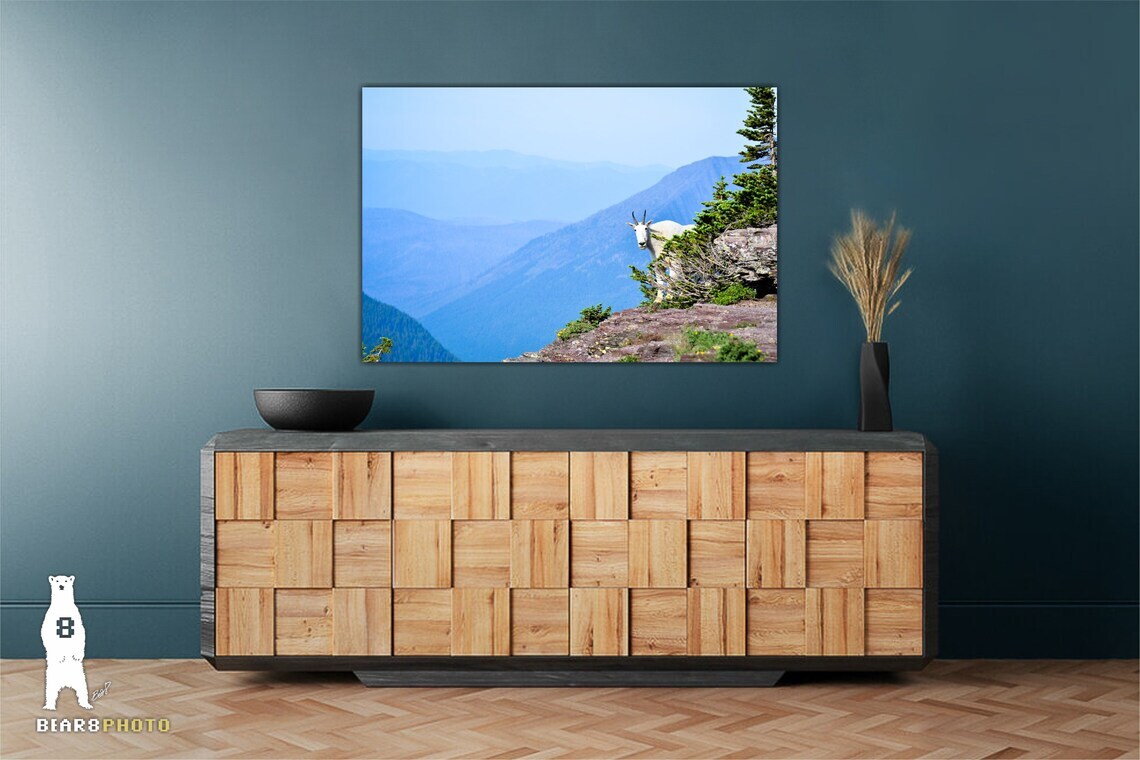 Mountain Goat Wildlife Photography Prints – Glacier National Park, Montana