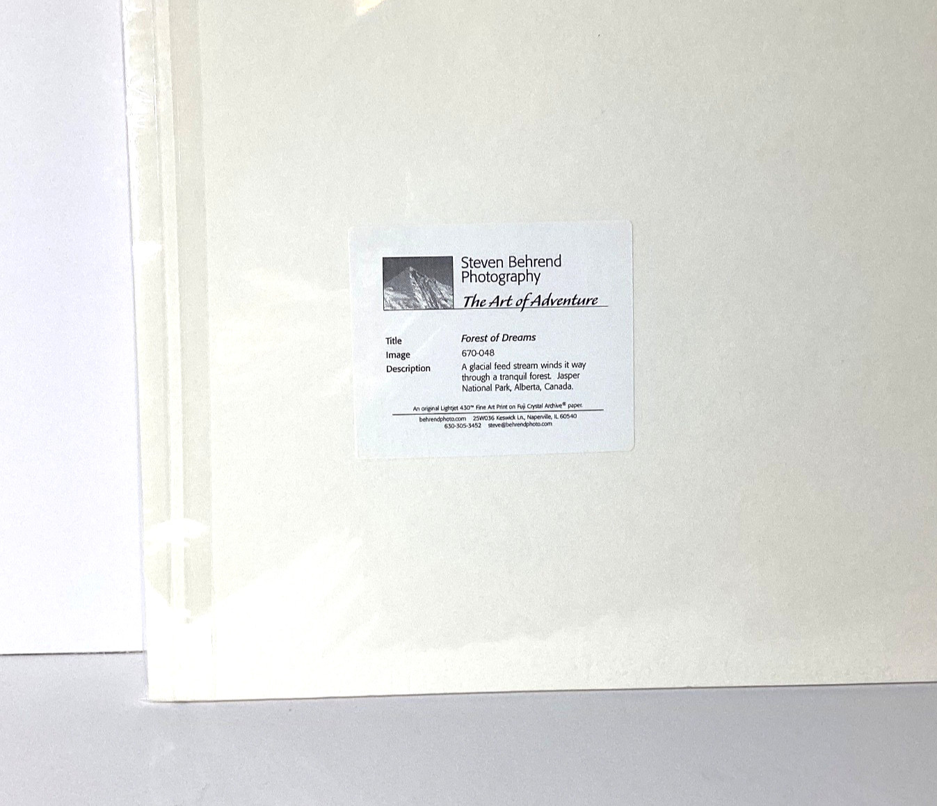 Fine Art Photograph Forest of Dreams Canadian Rockies Landscape Signed & Matted