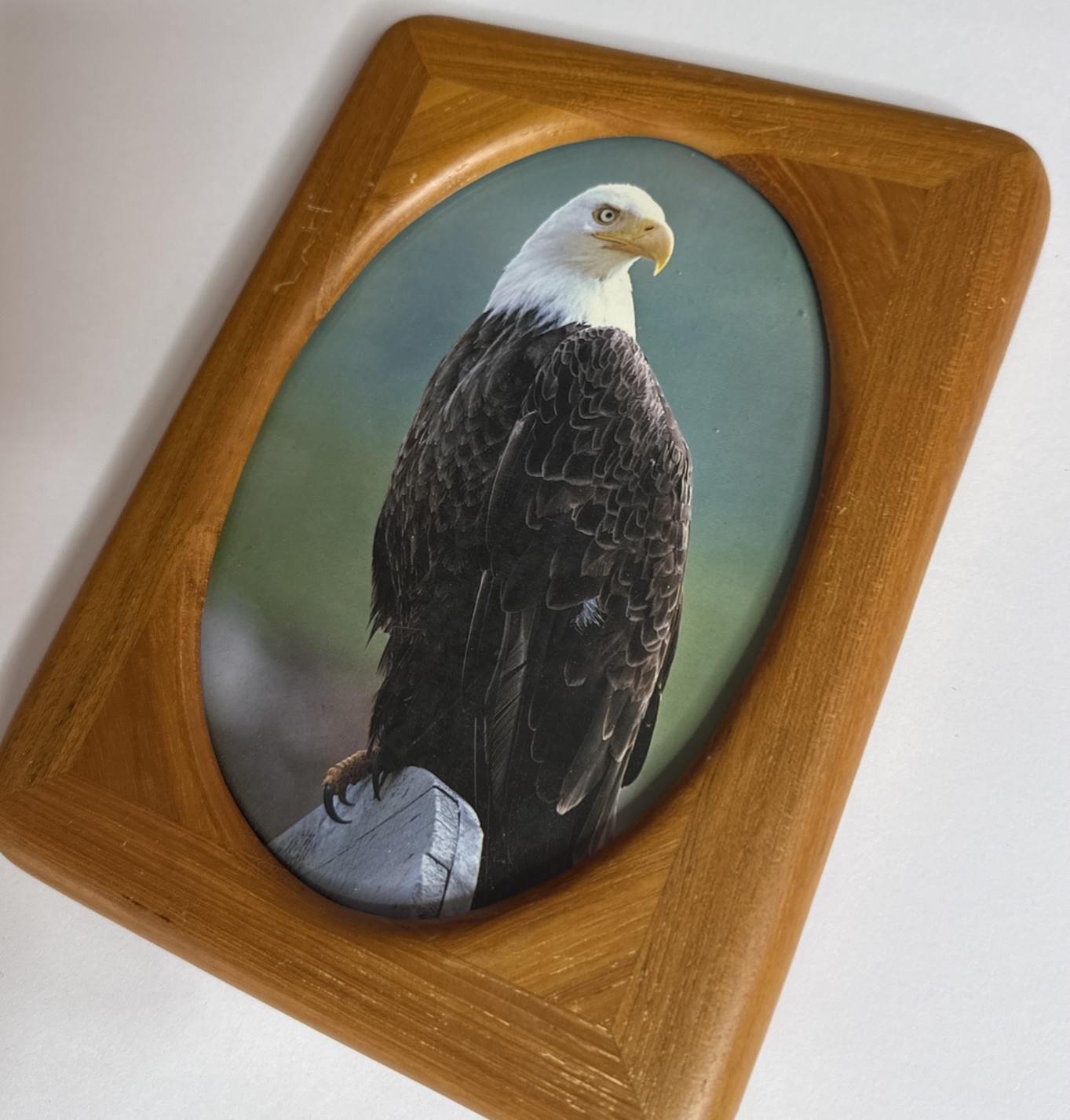 Wood Picture Frame 8×6 -Oval Opening- Bald Eagle Photo Rustic Decor