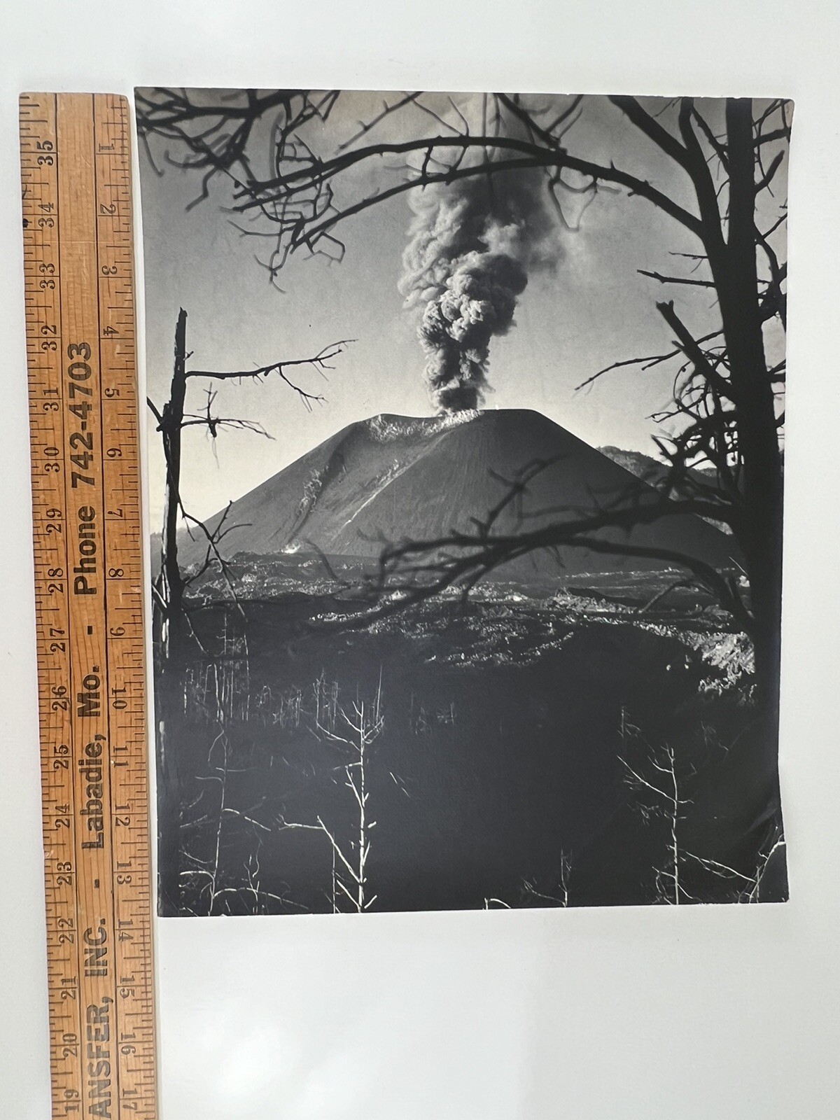 VTG Large Black & White Photograph Photography Print Parícutin Volcanic Eruption
