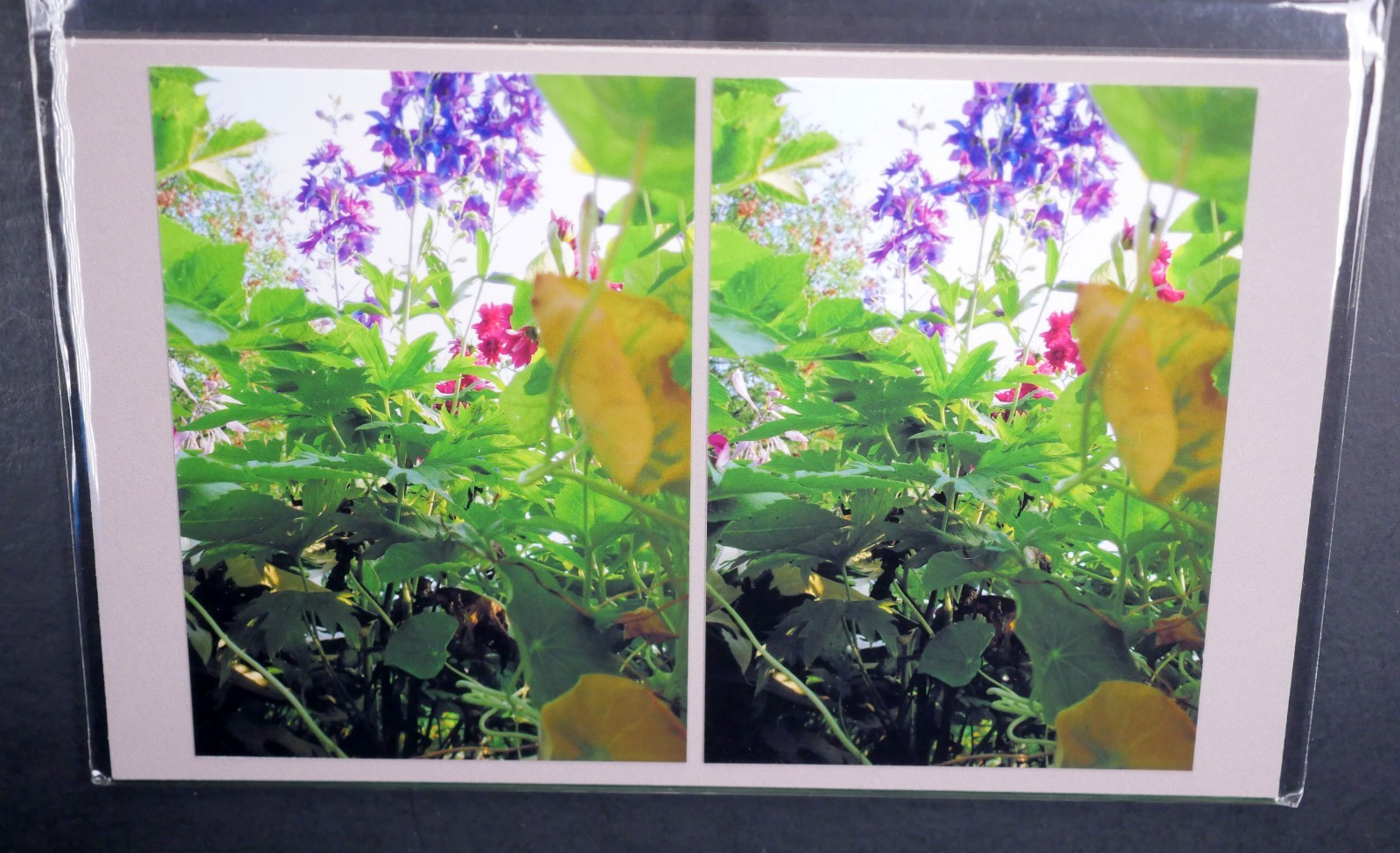 Boris Starosta 3D Stereoview – CREATIVE Garden Violet Signed 2004