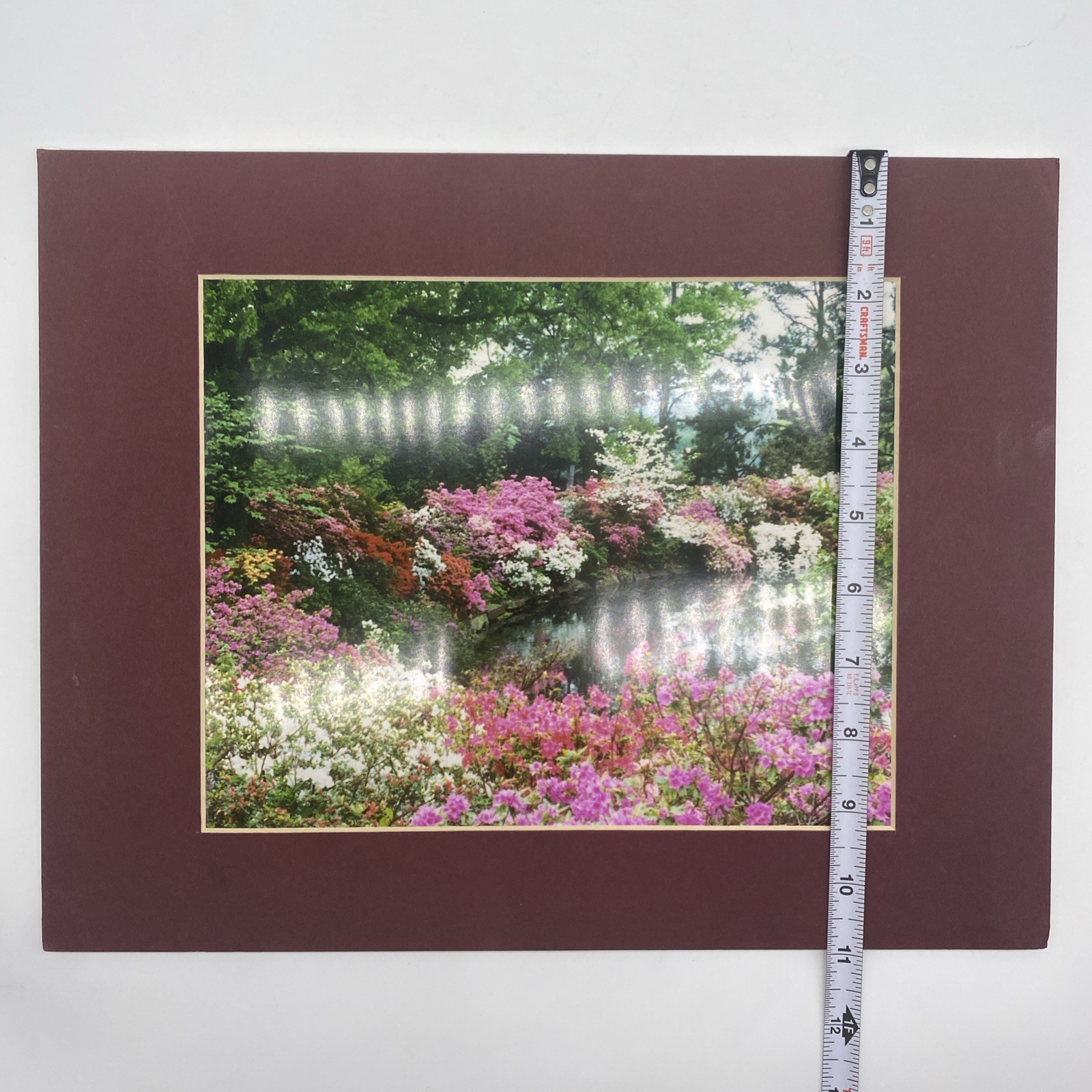Matted Flowers Pond Forest Landscape Photo Print 11 X 14 Wall Art Gallery Decor