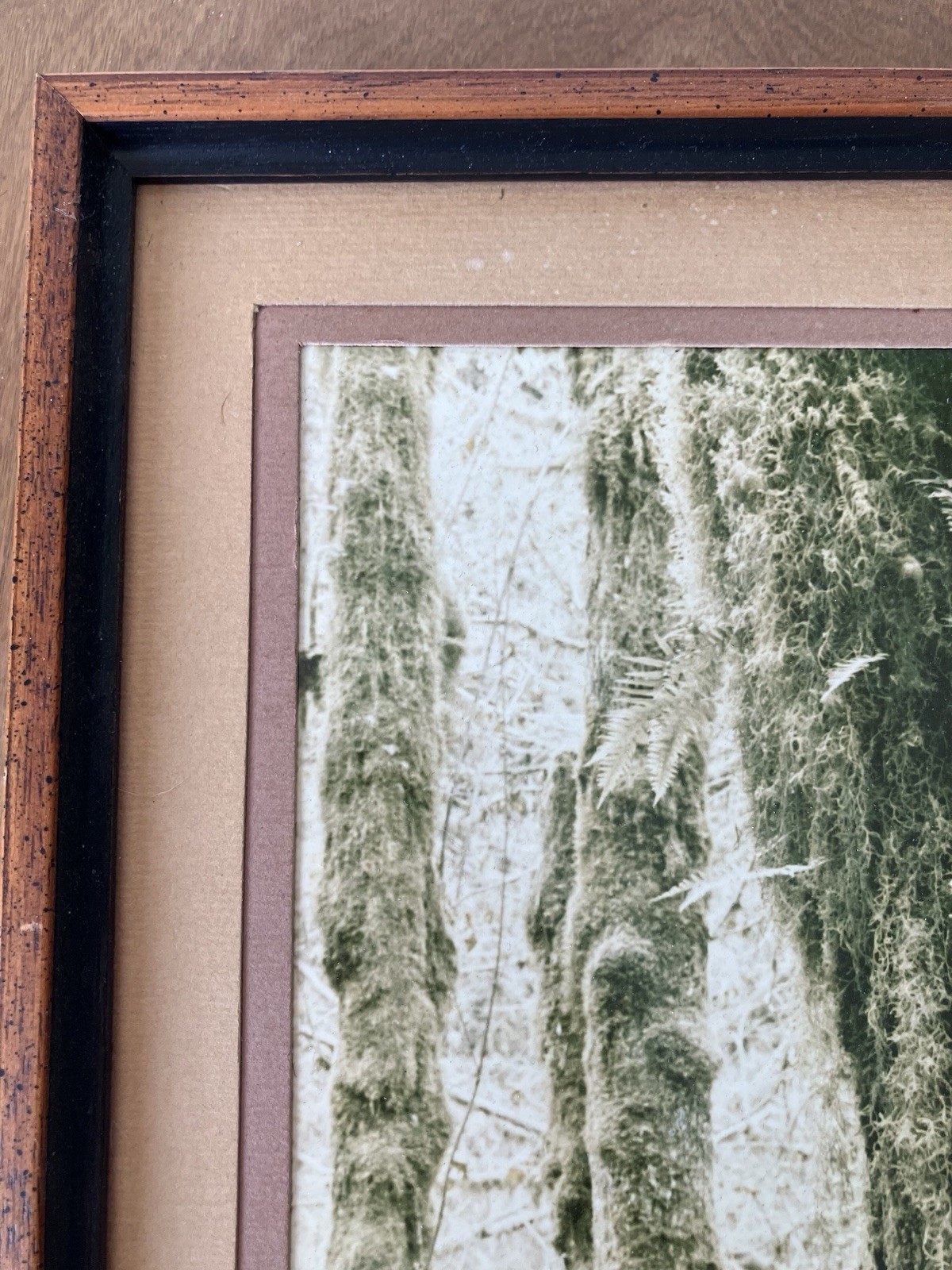 Ray Atkeson Original Photo Large Frames Signed Old Forest Landscape Oregon