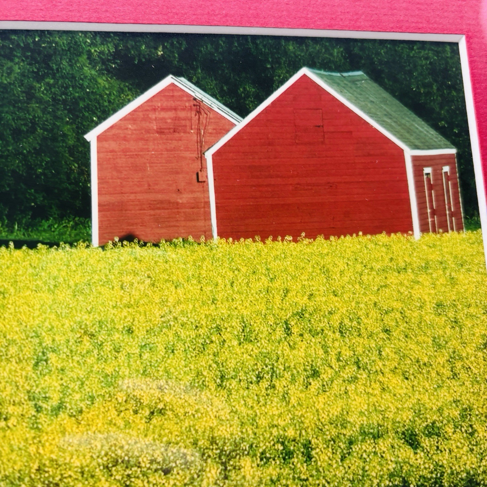 Red Barns in Yellow Field Framed Phorograph Farmcore Countrycore 1990s Wall Art