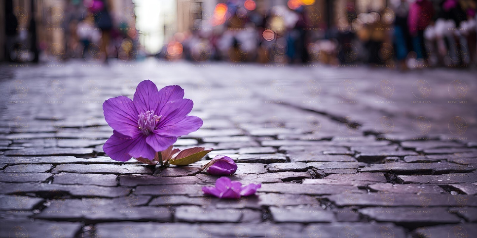 Digital Image Picture Photo Wallpaper Background Flower On Crack Street #26