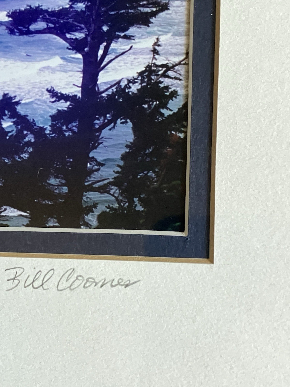 Oregon Coastal Photograph Ecola State Park Framed/ Matted Bill Coons 10 X 8 Inch