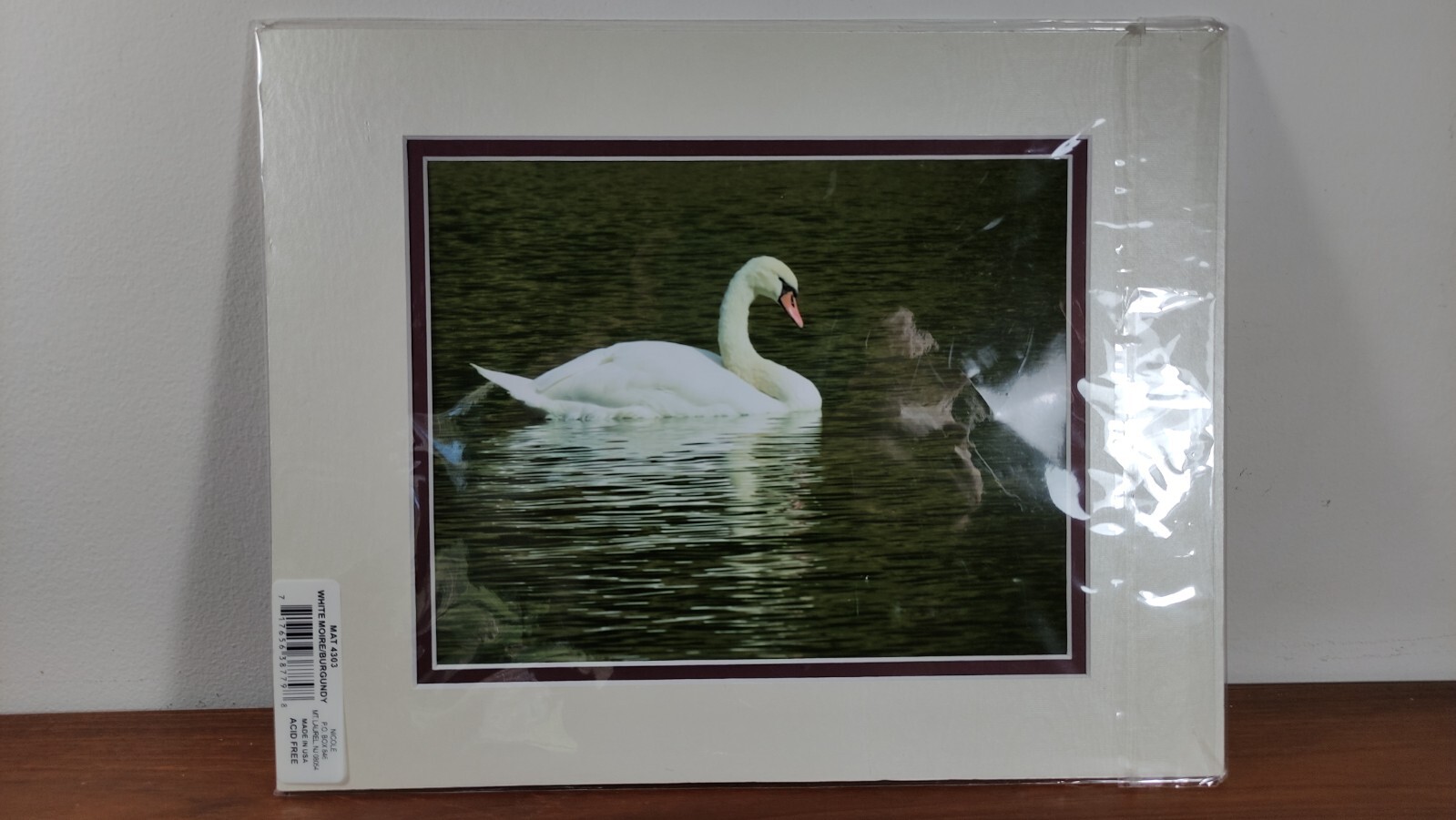 Original Photo Art Print Swan Photography Matted Signed by Ann Copeland Sealed