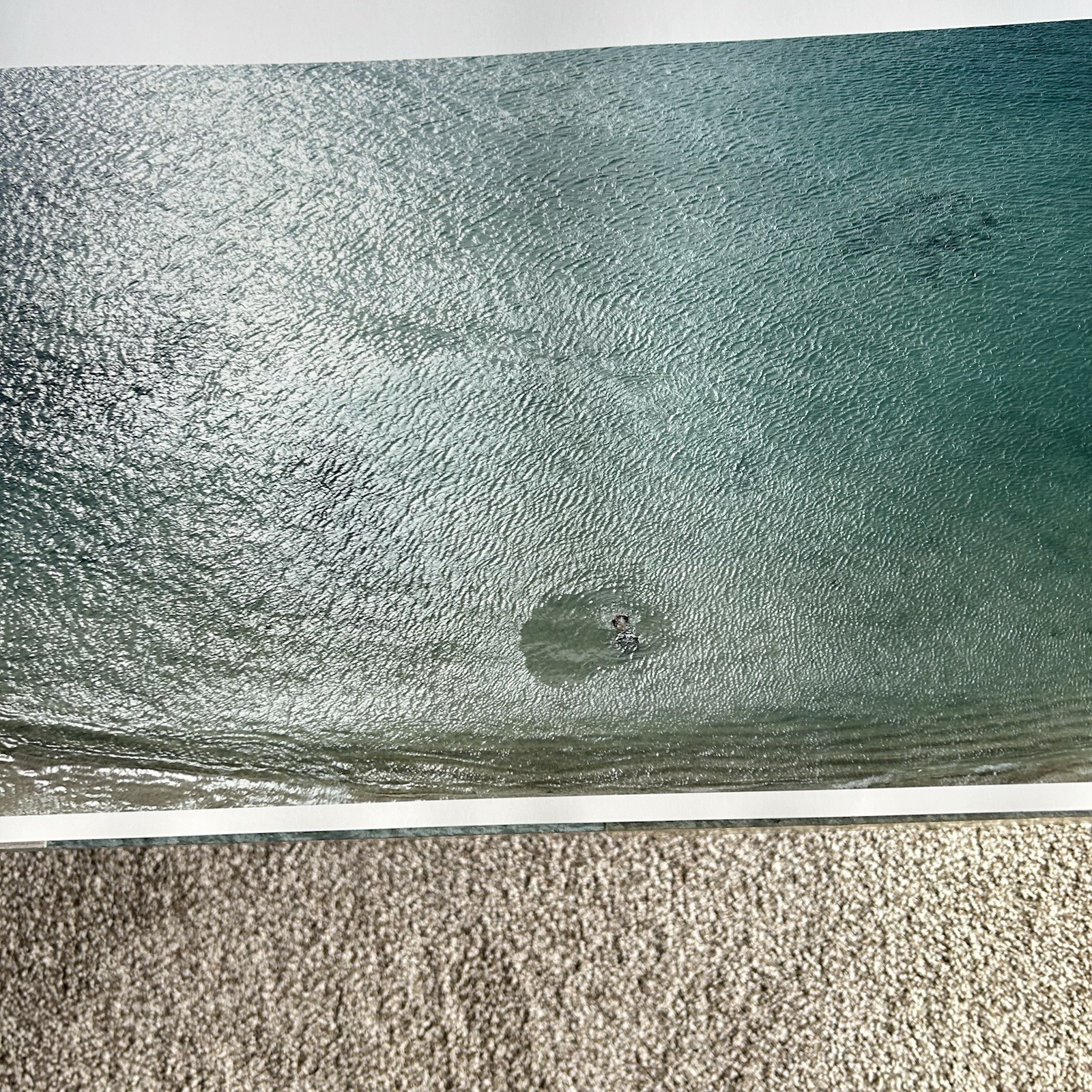 Richard Misrach On The Beach Book Photography