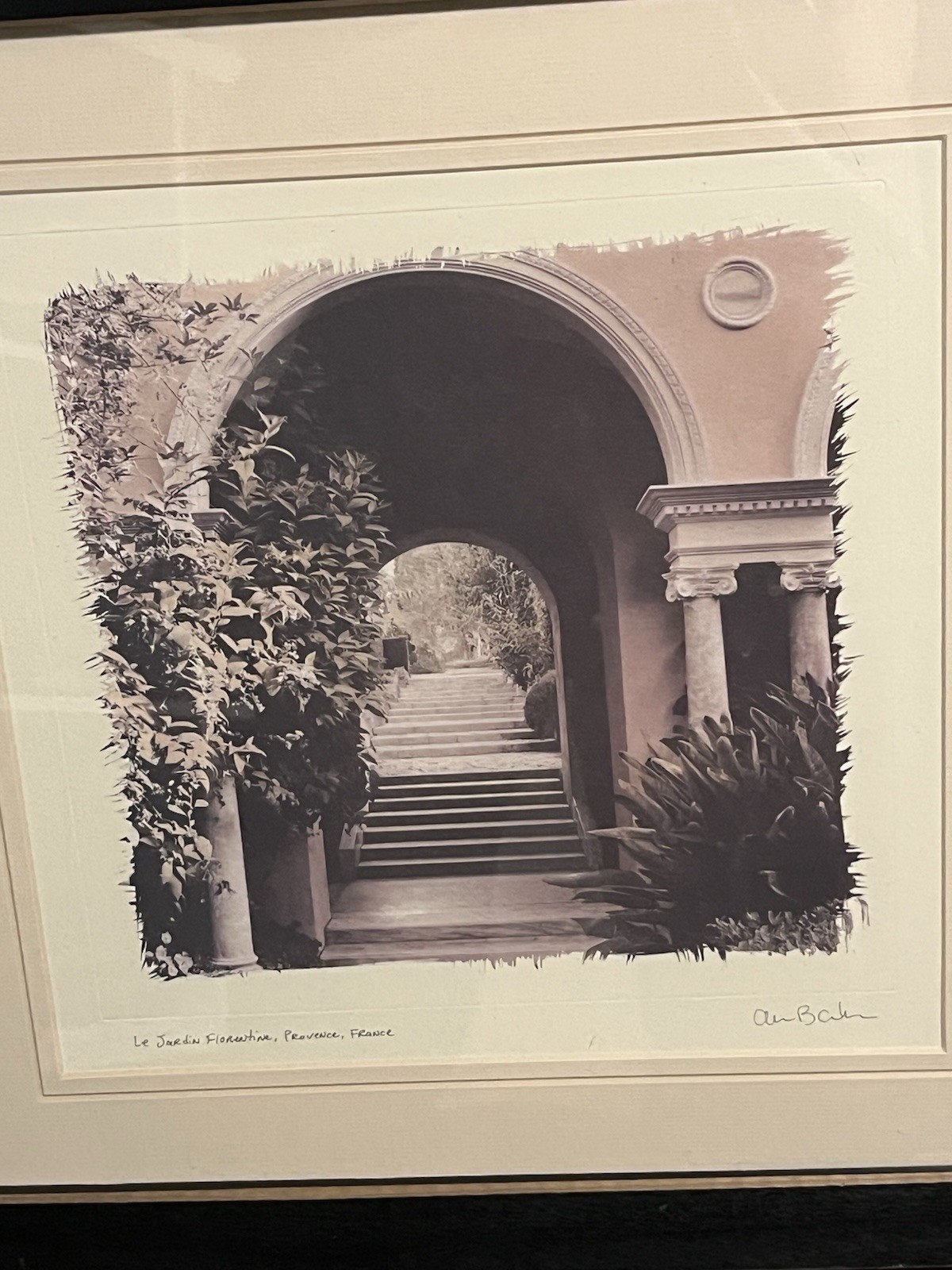European Garden By Allan Blaustein Photography Framed With Glass 18 1/2 X 18 1/2