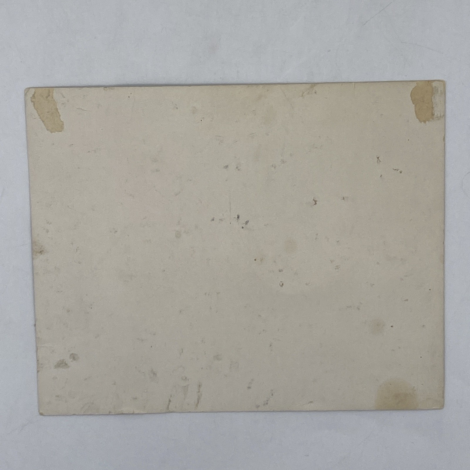 Merchants Publishing Kalamazoo Every Little Helps 1915 Antique Woman Cow Dog